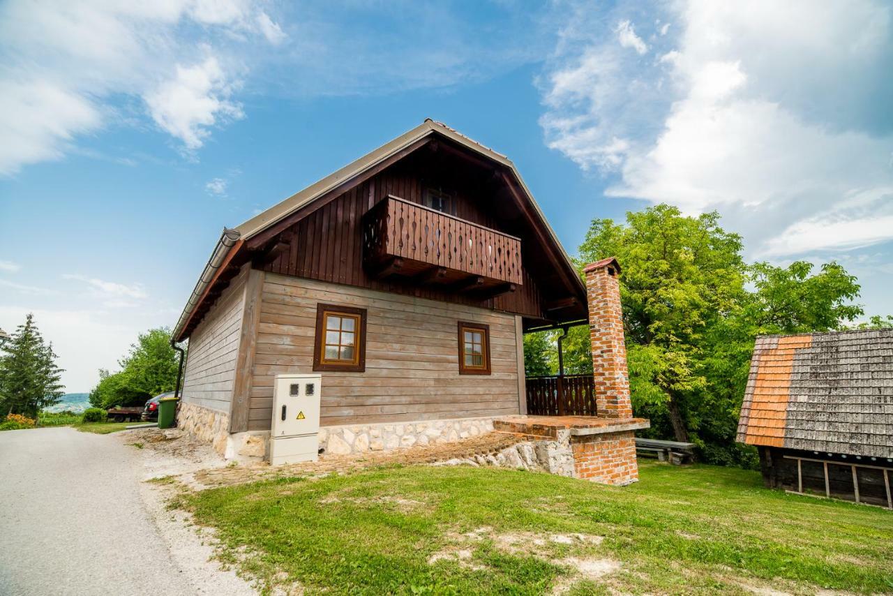 Bistrica ob Sotli Sunny House With Sauna מראה חיצוני תמונה